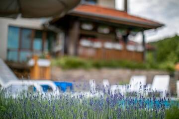 Фото номера Дом для отпуска Дома для отпуска Vila Gardenia г. Gumoshtnik 49