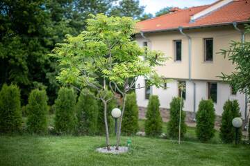 Фотографии Дома для отпуска Vila Gardenia г. Gumoshtnik (Болгария) №5 Фото Дома для отпуска Vila Gardenia г. Gumoshtnik 5